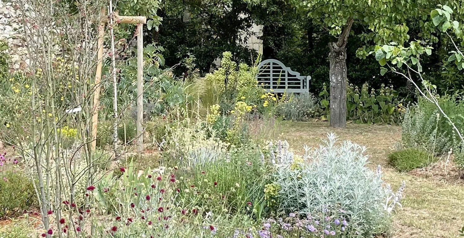 Resilient garden in late spring